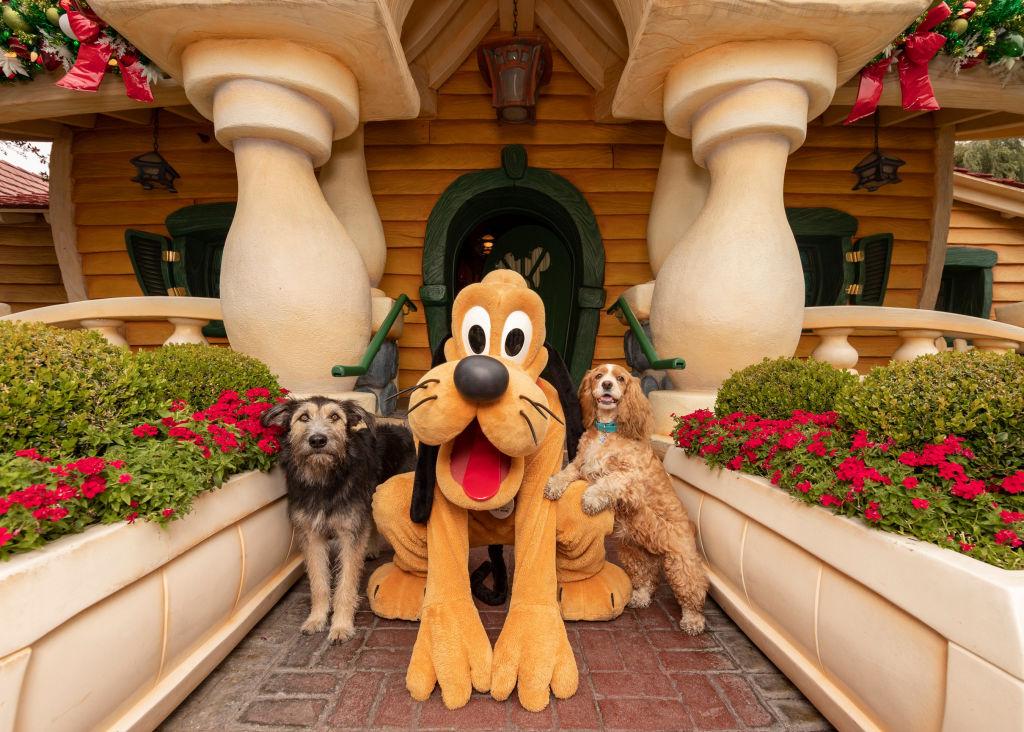 Disneyland Postpones Reopening of Mickey’s Toontown