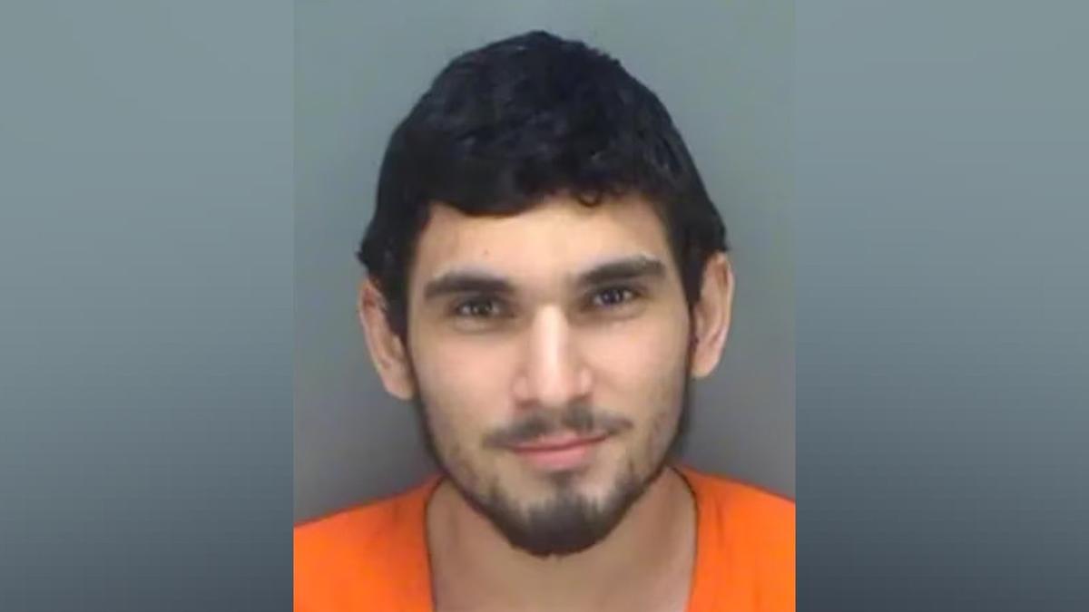 Florida Man Pleads Guilty to Supporting ISIS Terrorist Group