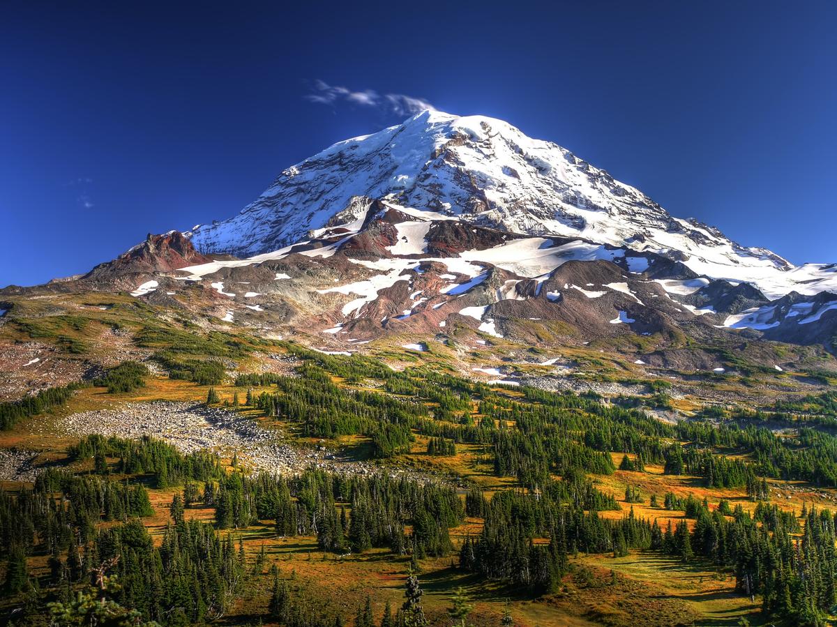 Move Over, Everest Climbers. The Rarest Peaks to Scale May Be in South Florida