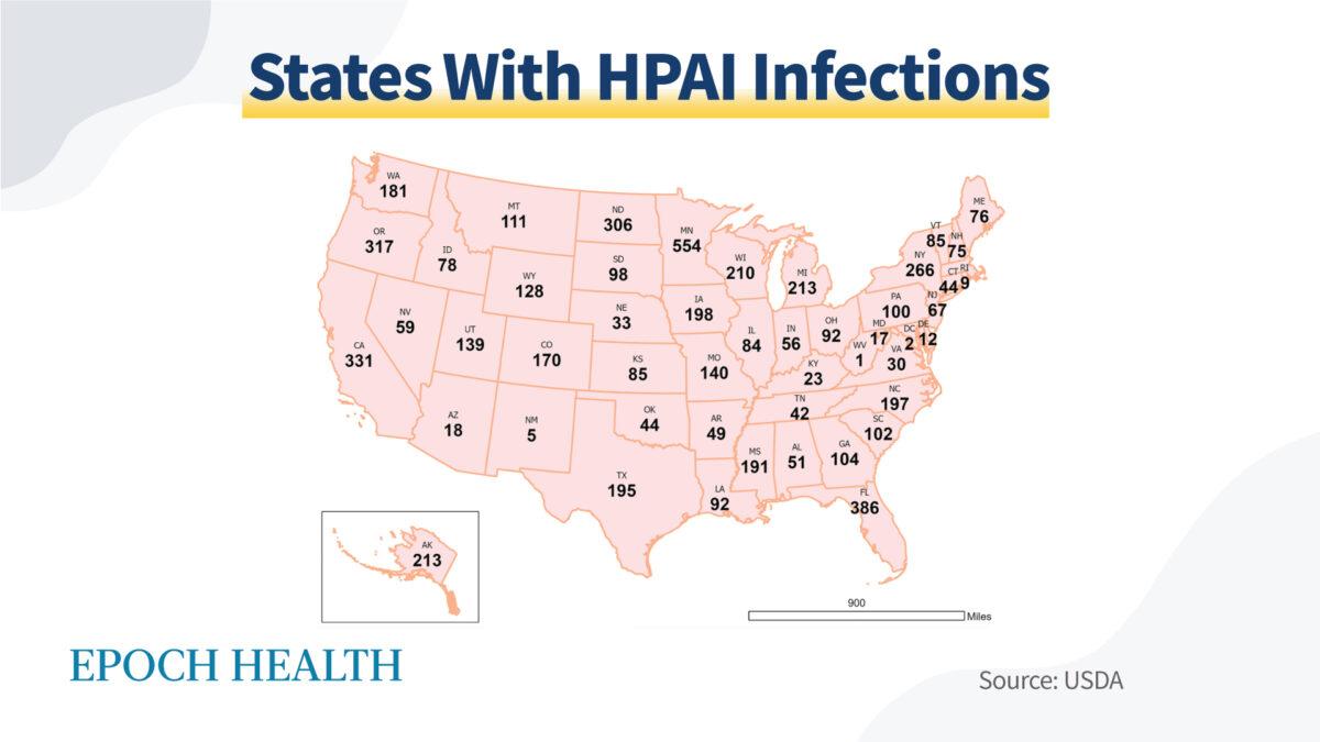 The number of HPAI infections in the wild bird population by state. (The Epoch Times)