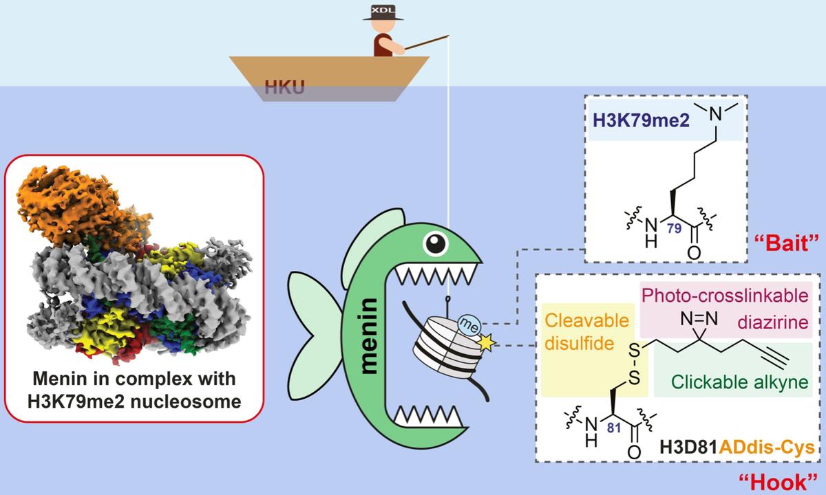 Histone Mark Decoded: Key to Gene Regulation in Cancer and Anti-Cancer Drug Development