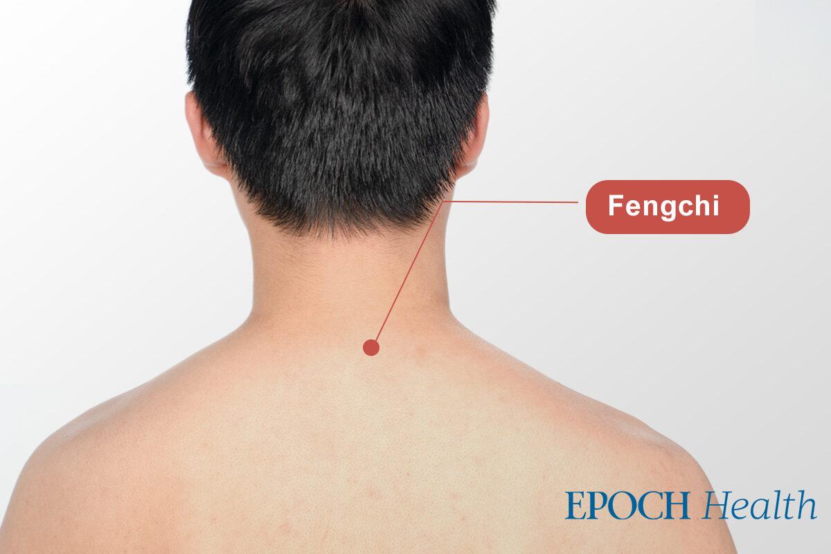 Fengchi, one acupoint for eliminating shoulder and neck pain. (The Epoch Times)