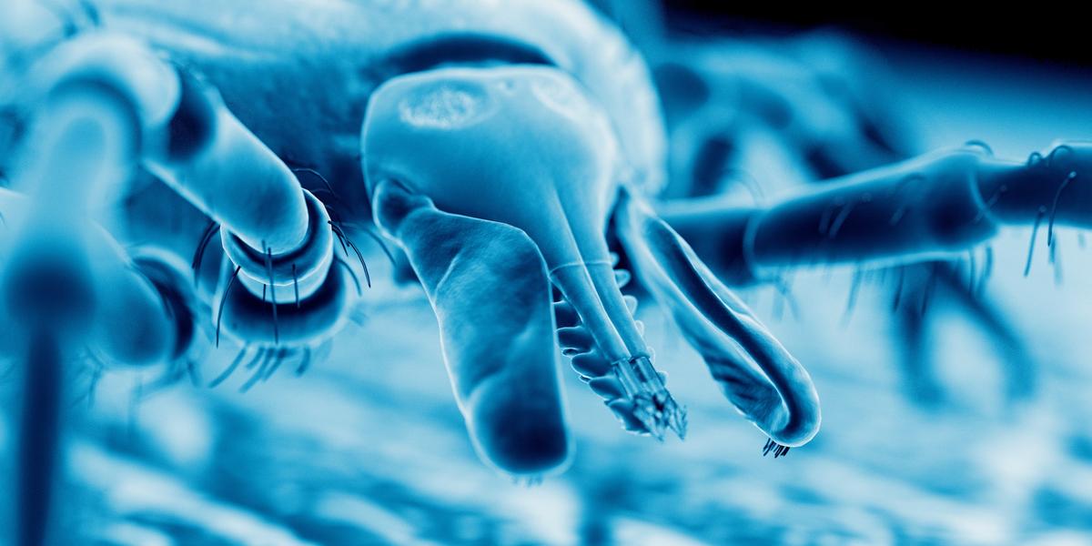 Lyme: The Government Has Been Making Bugs More Deadly