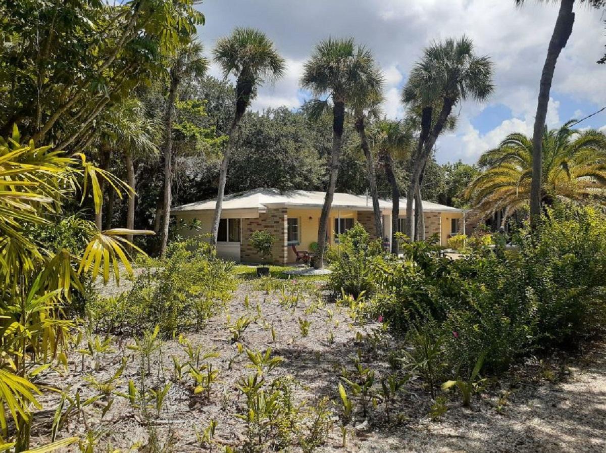 Natural Rights for People and the Environment