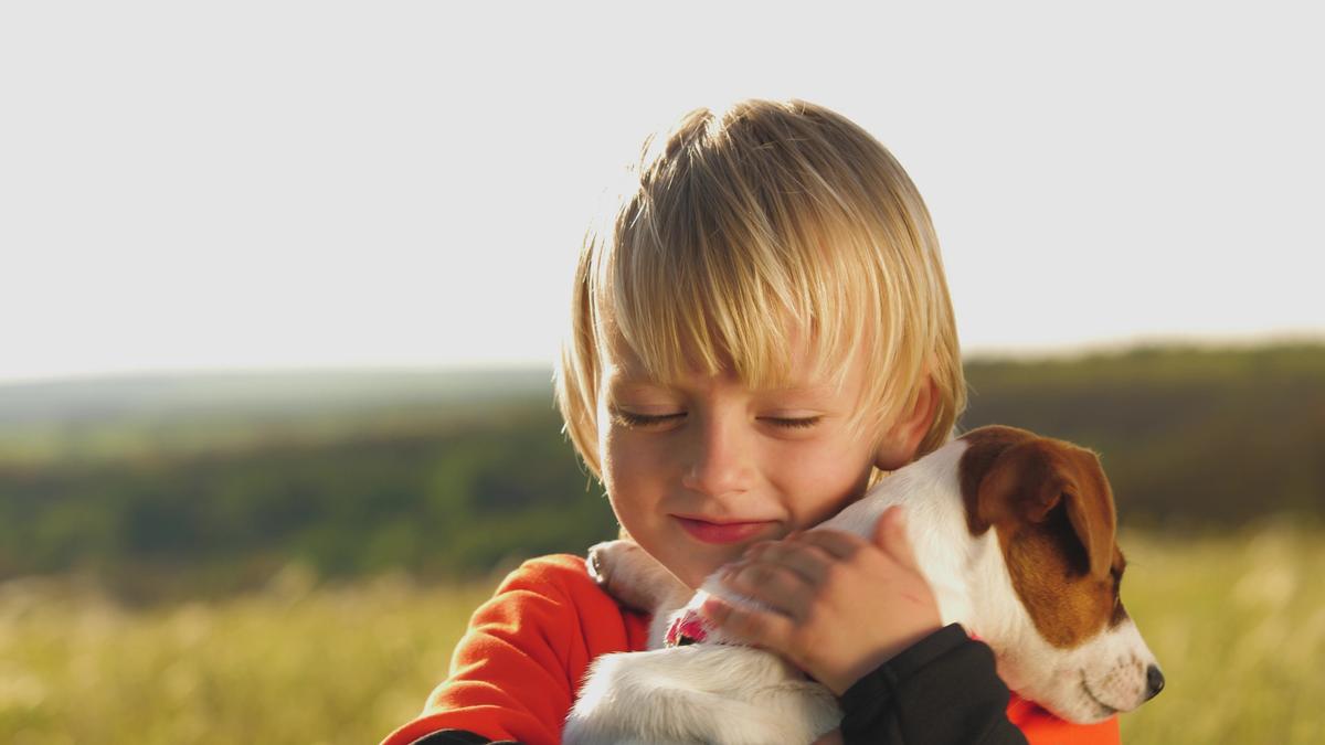 More Bacteria on Human Beard Than Dog Fur