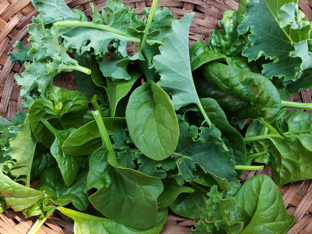 Potential Problems From Eating Too Much Kale or Spinach