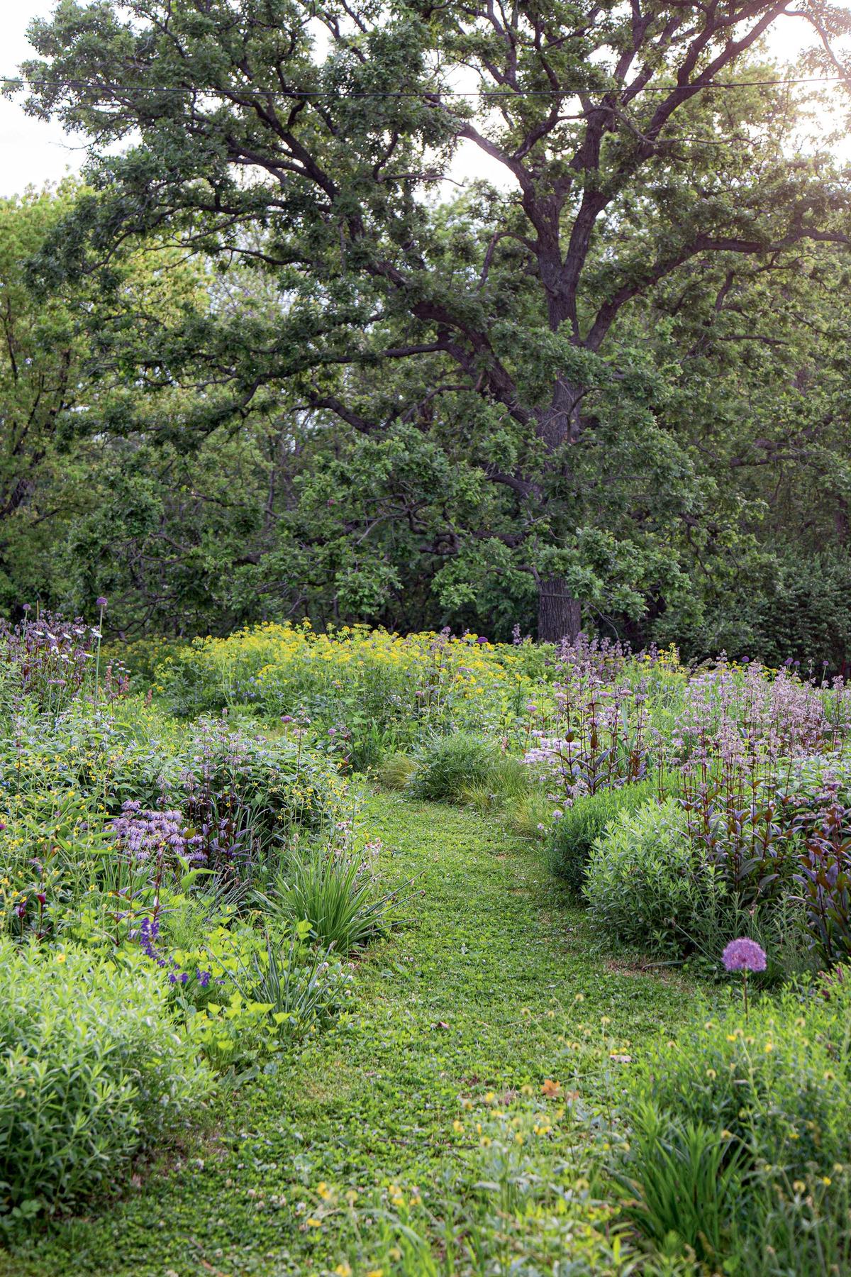 An example of a Kelly style naturalist garden as shown in the book "Field Guide to Outside Style." (Kelly Norris/Provided photo/TNS)