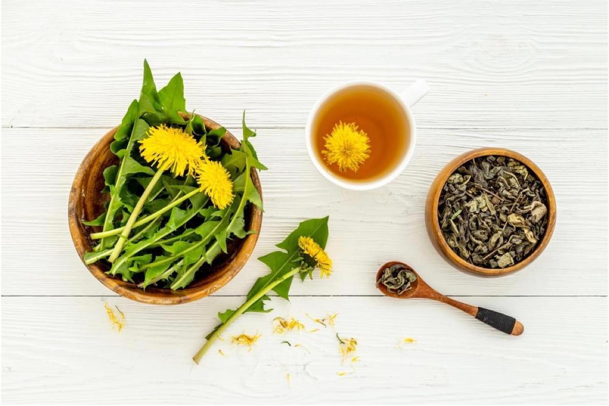 Dandelion Possesses All Attributes as Medicine and Food, a Popular Ingredient for Springtime Liver Protection
