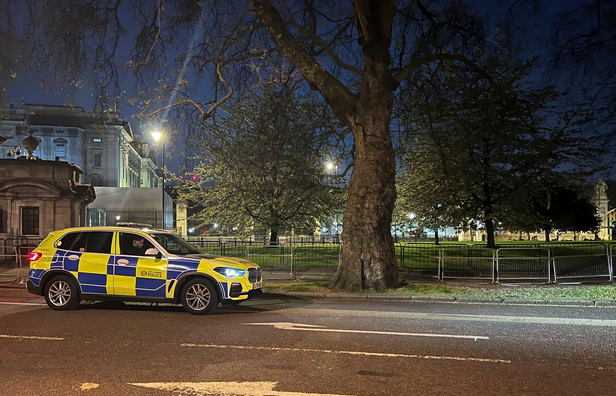 Man Arrested Outside Buckingham Palace After Shotgun Cartridges Thrown Over Fence