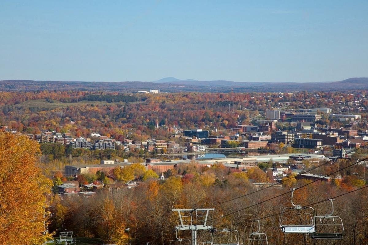 Quebec Elementary School Cuts Short Field Trip After Students Find Dead Body in Woods