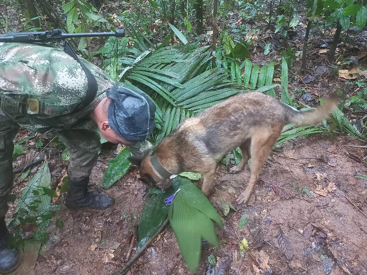 Fate of Colombia Plane Crash Children Unknown; Petro Deletes Tweet