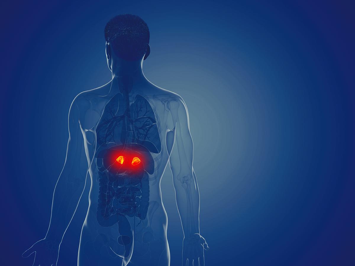 Low Levels of Stress Hormone Can Be Bad for Immunity, Here’s How to Keep a Healthy Level