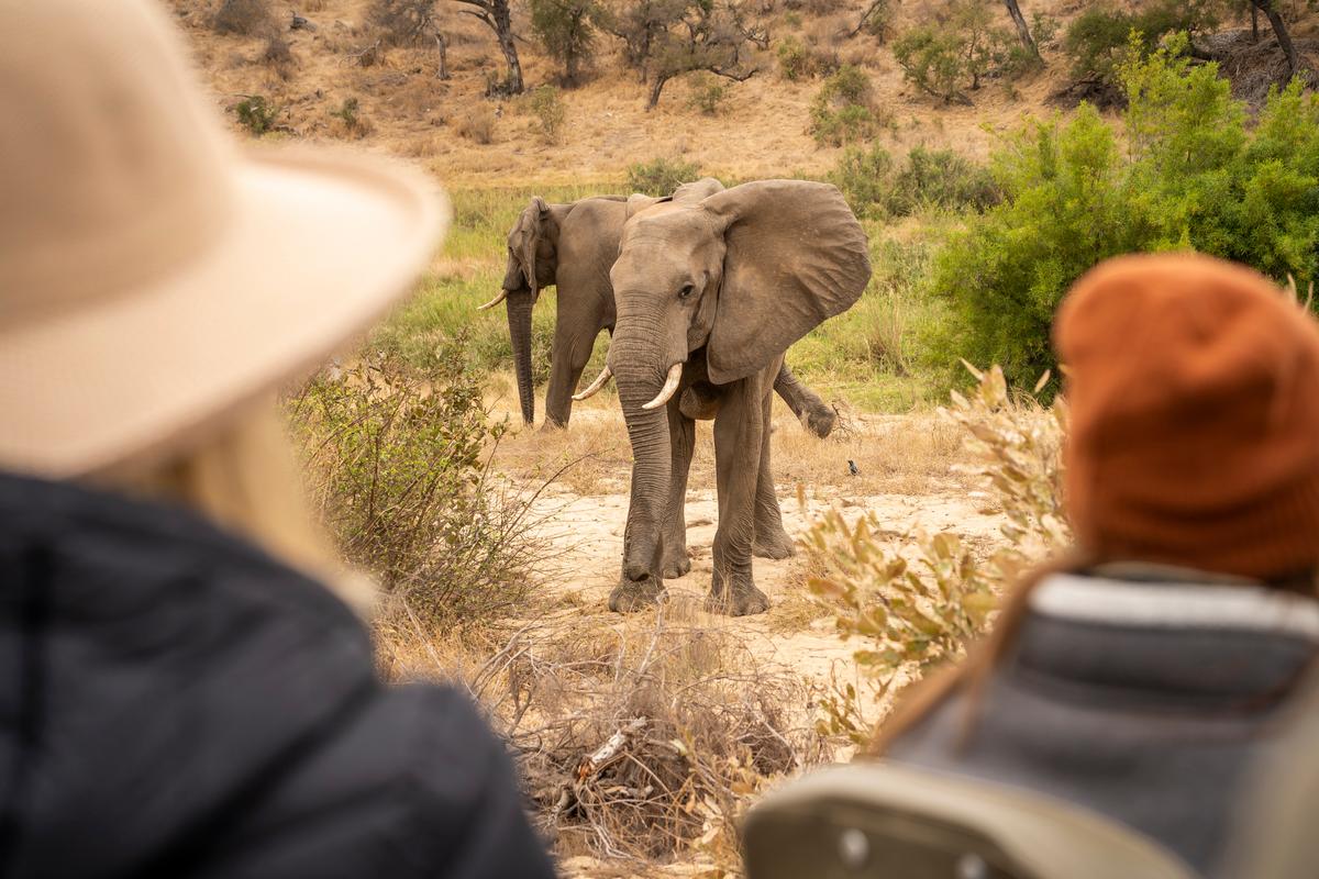 South African Adventure: Kruger and Klaserie