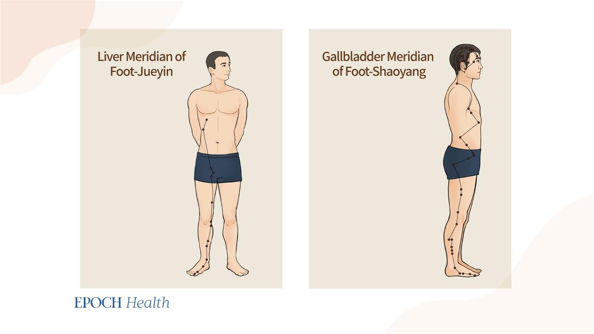 Tapping the liver and gallbladder meridians approximately 100 to 200 times every day can help improve liver and gallbladder function and promote metabolism. (NTDHealth)