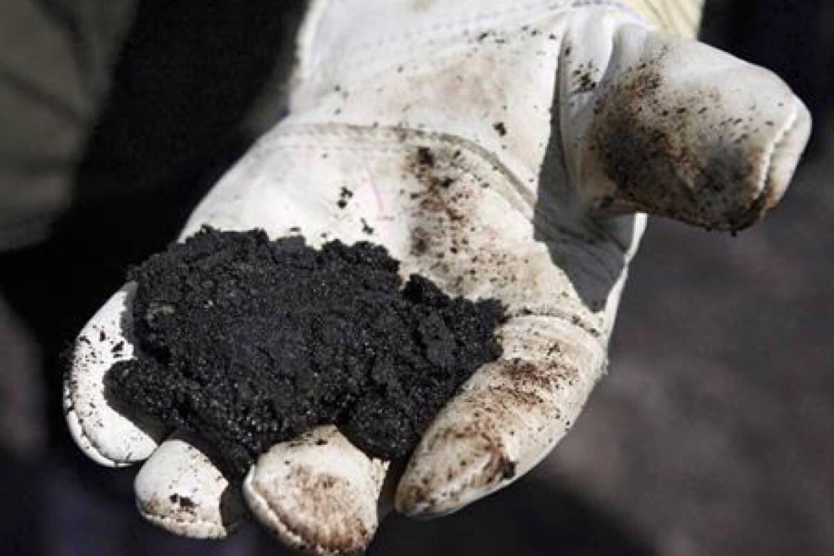 An oil worker holds raw oilsands near Fort McMurray, Alta., in a file photo. (The Canadian Press/Jeff McIntosh)