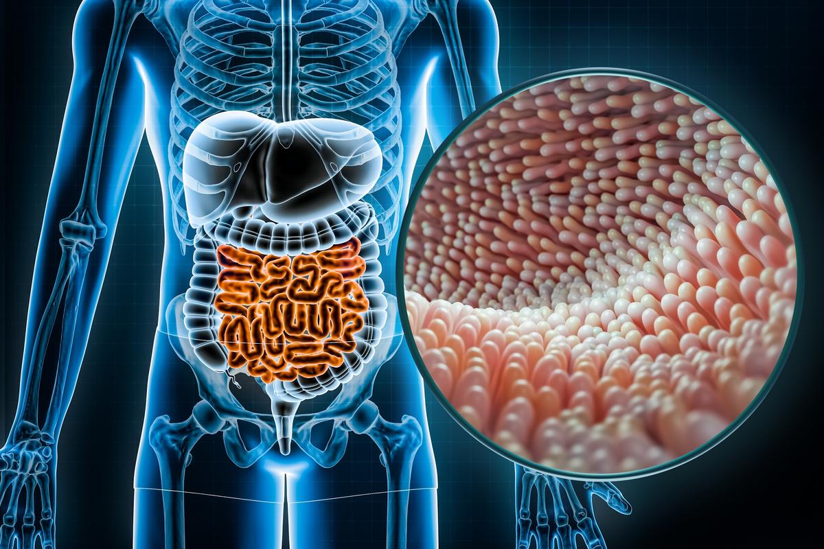 The Gut Microbiome That Helps You Live to Be 100