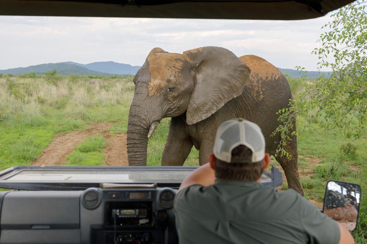 Madikwe: The Most Amazing Game Reserve You’ve Never Heard Of
