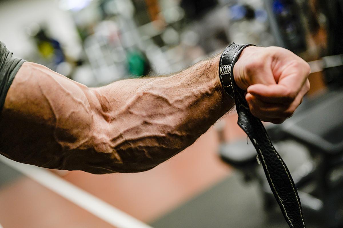 Steroids: The Lure of Easy Bodybuilding Gains With Serious Health Consequences