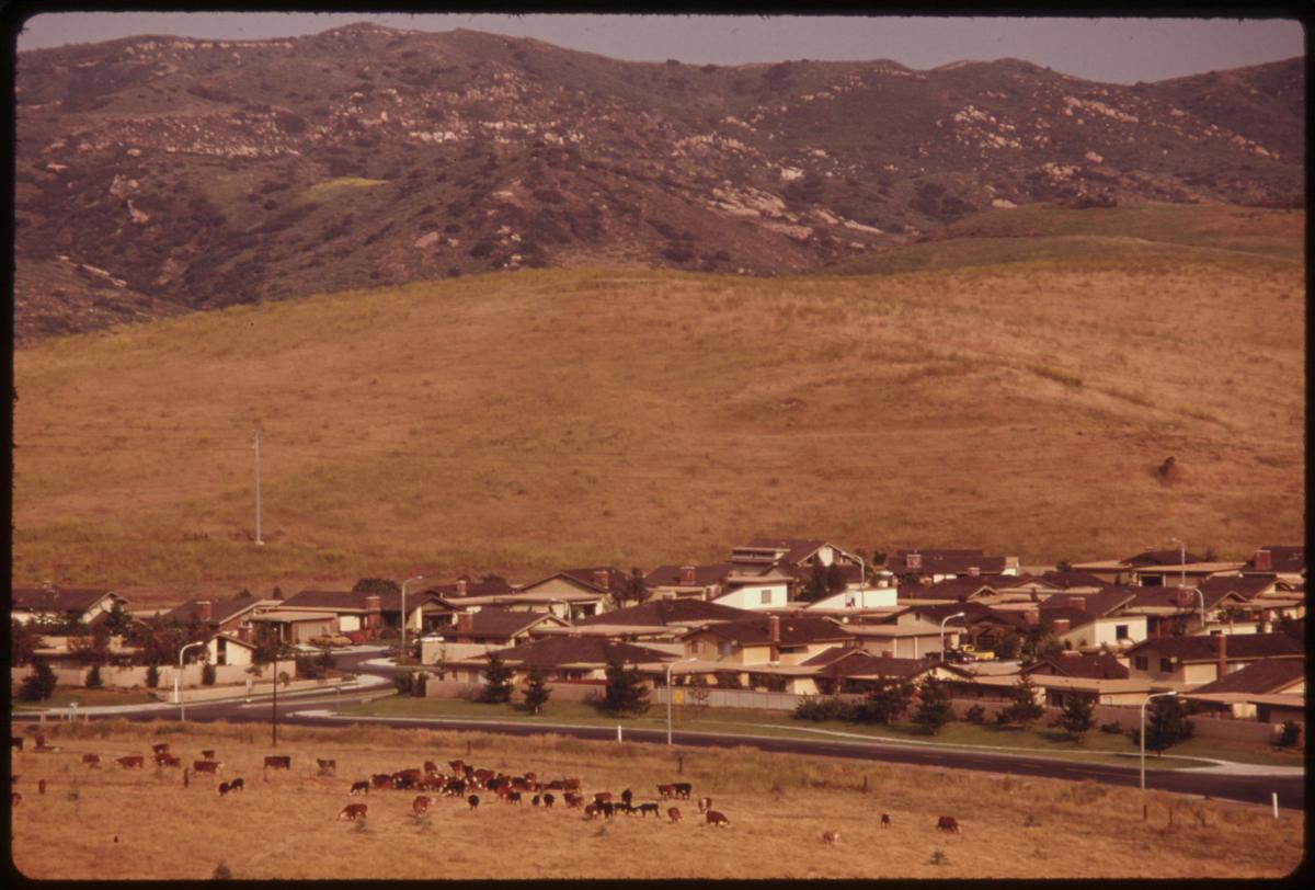 A Must-Read for Irvine Ranch History Aficionados
