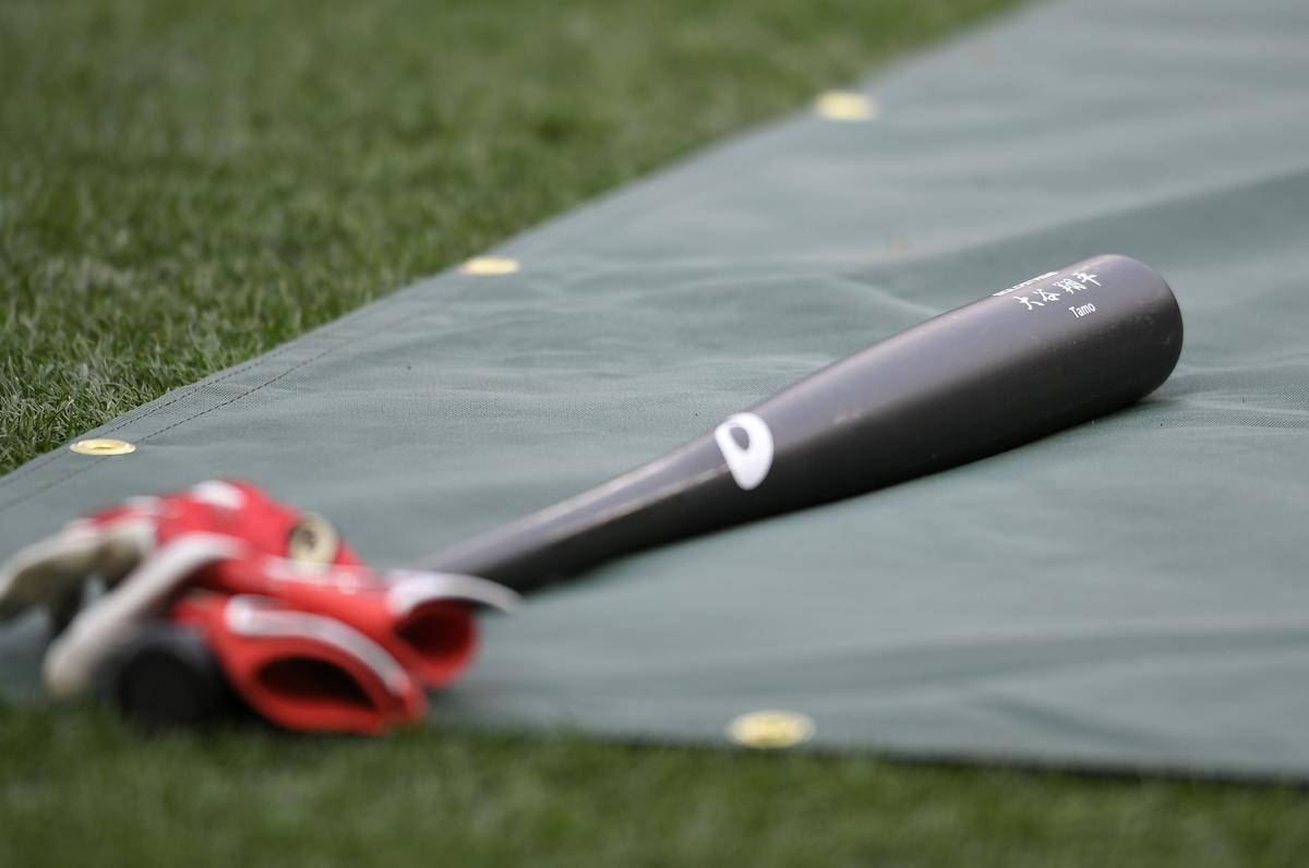 USA Baseball Camp Draws Heavily From Southern California