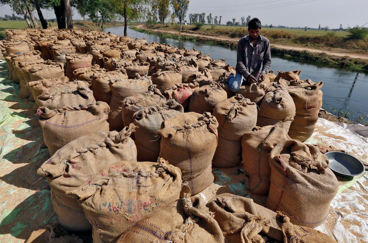 IMF Warns India’s Rice Export Ban Could Worsen Food Price Inflation