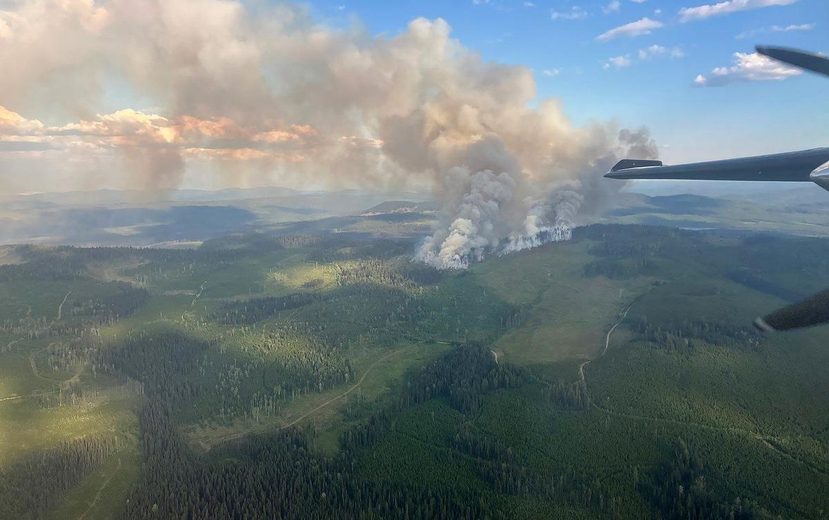 Rain Allows ‘Slight Reset’ in BC Wildfire Fight but Drought Persists
