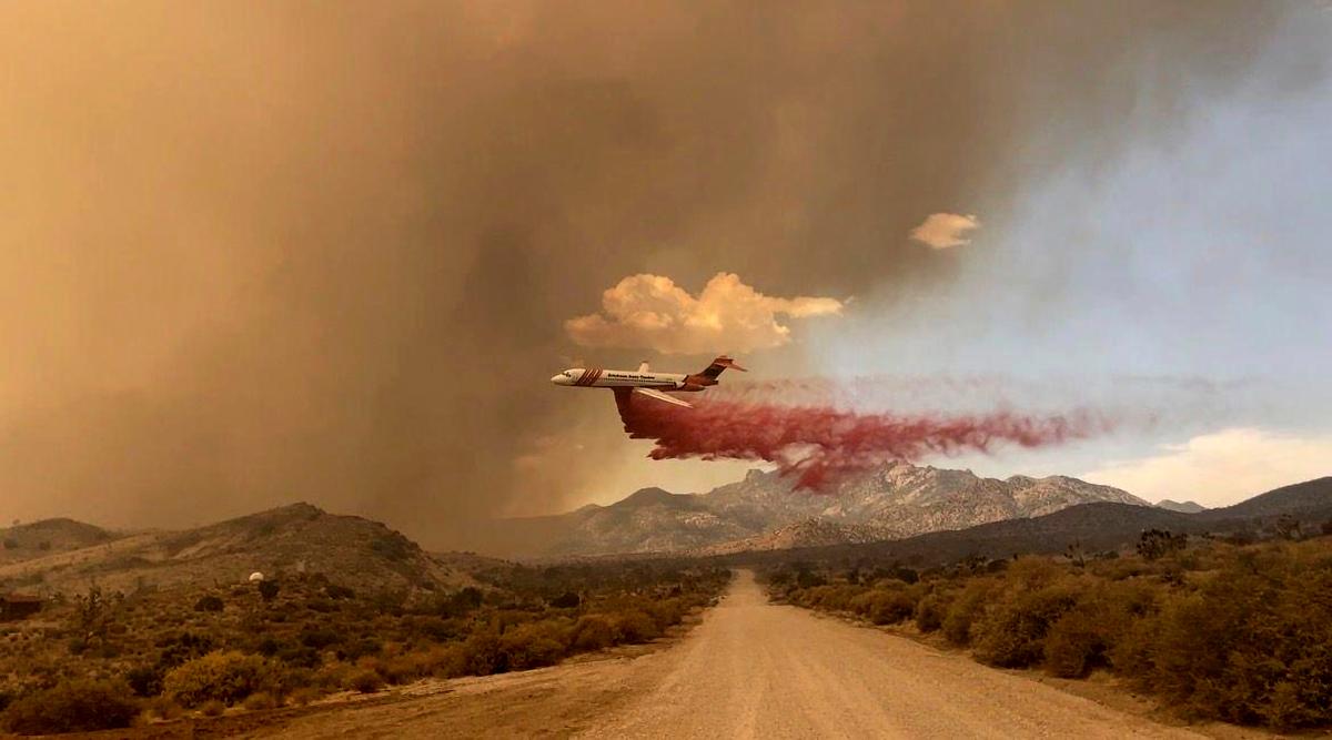 California Wildfire Scorching Precious Joshua Trees