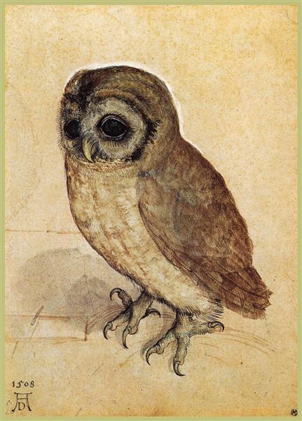 "A Little Owl," 1508, Albrecht Durer. (Public Domain)