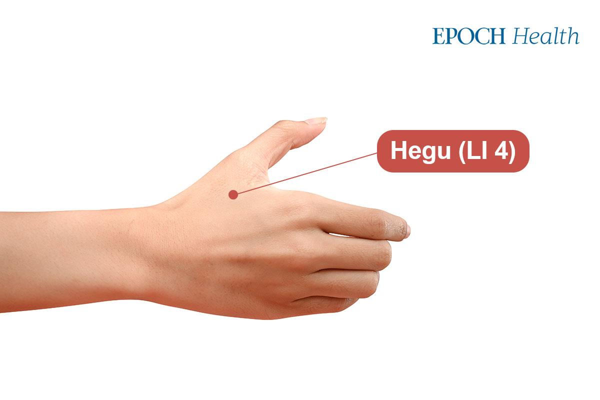 The exact location of Hegu acupoint. (The Epoch Times)