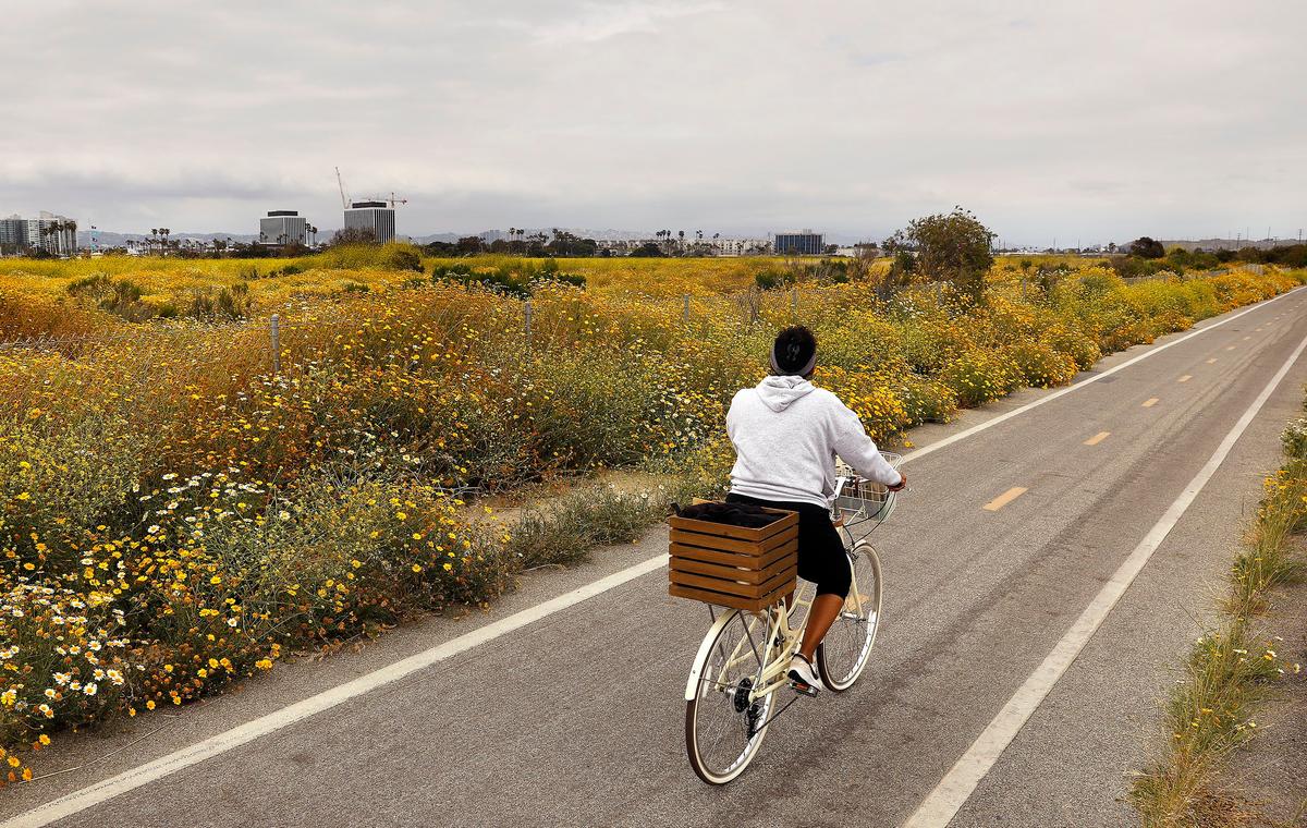 The Ballona Creek Bike Path will be the backdrop to part of Latino Outdoors' July 29 five- to 10-mile sunset bike ride. (Christina House/Los Angeles Times/TNS)