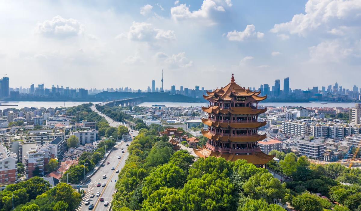 The Wuhan Cover-Up, by RFK Jr.