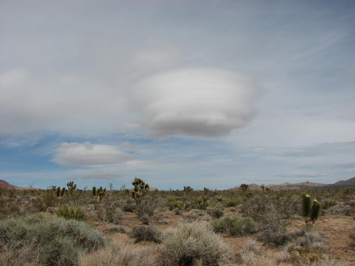 The Virtual Worlds of Climate and Energy