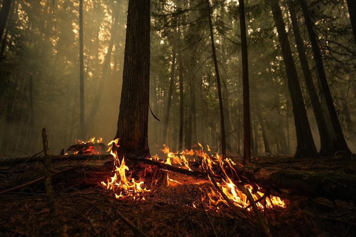 Wildfire Threat in BC Continues as Winds Pick up During Stormy Weather