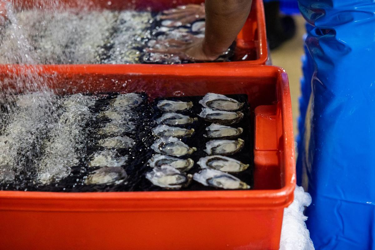 2 Connecticut Deaths Linked to Bacteria Found in Raw Shellfish