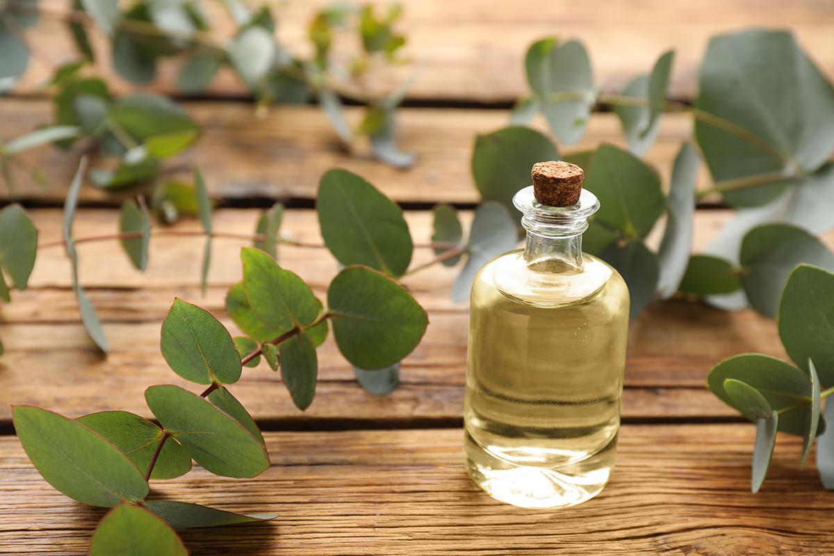 Aromatherapy to Improve Abnormal Sense of Smell and Taste From Long COVID