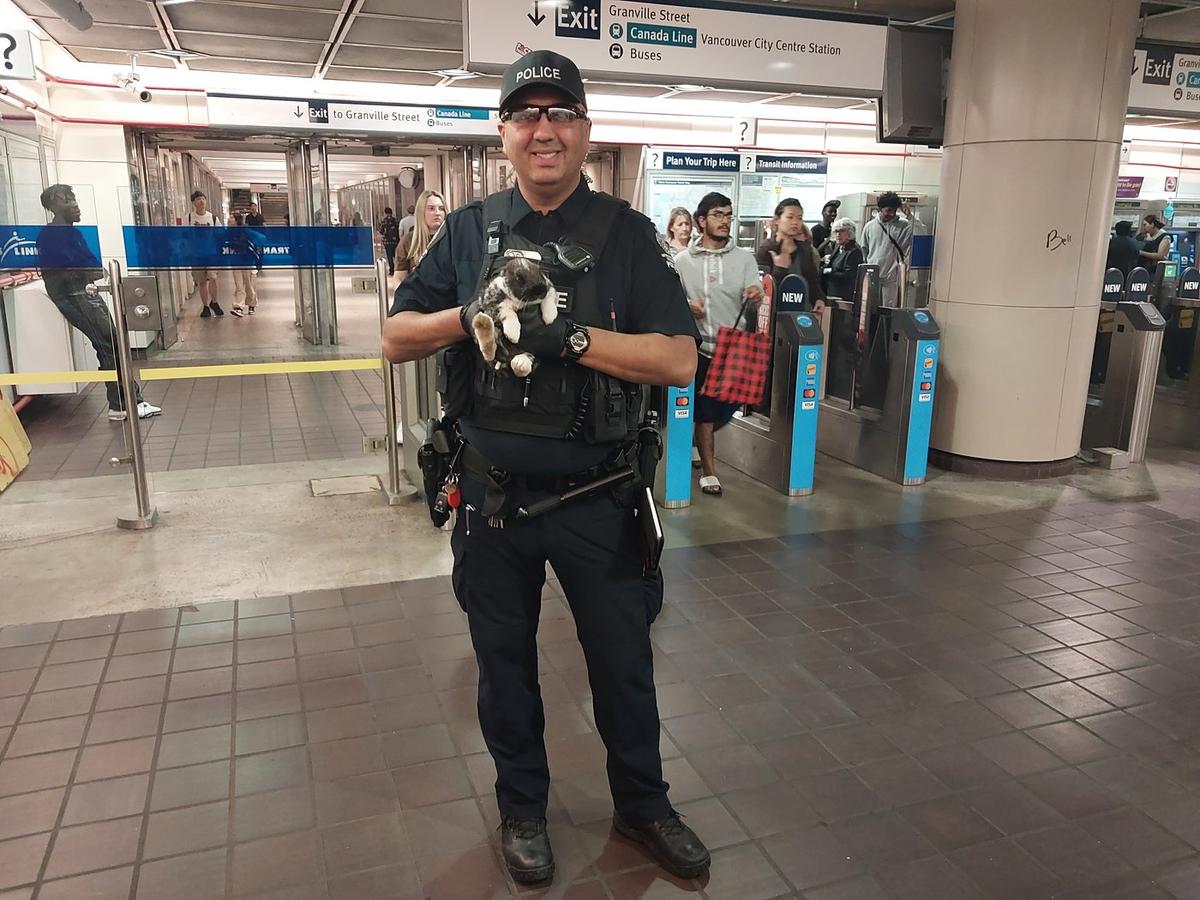 Police Return Emotional Support Rabbit That Ran Loose in Vancouver SkyTrain Station