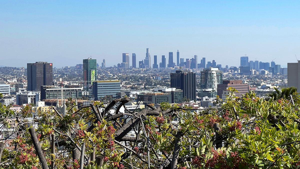 Feds Detain Dozens of Suspected Illegal Immigrants in LA Club Raid