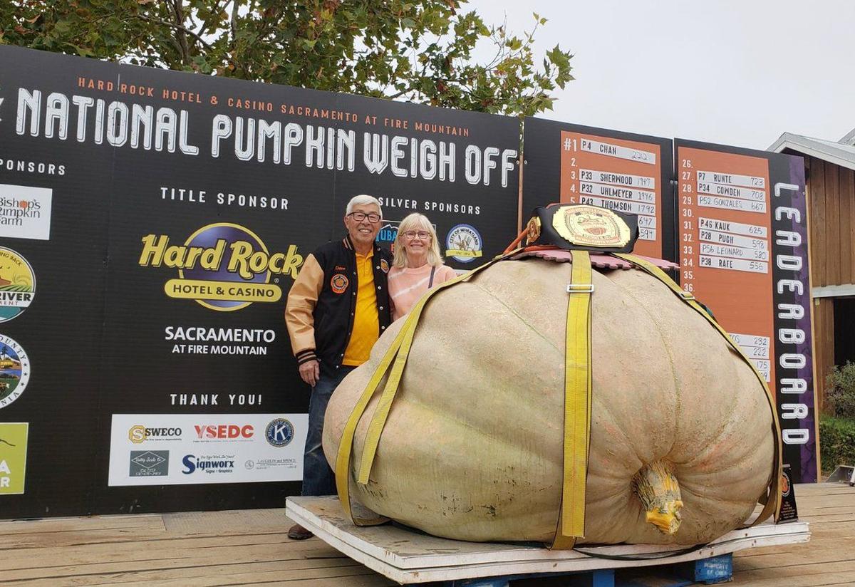 BC Man Takes One-Tonne Pumpkin on Road Trip to Win California Weigh-Off