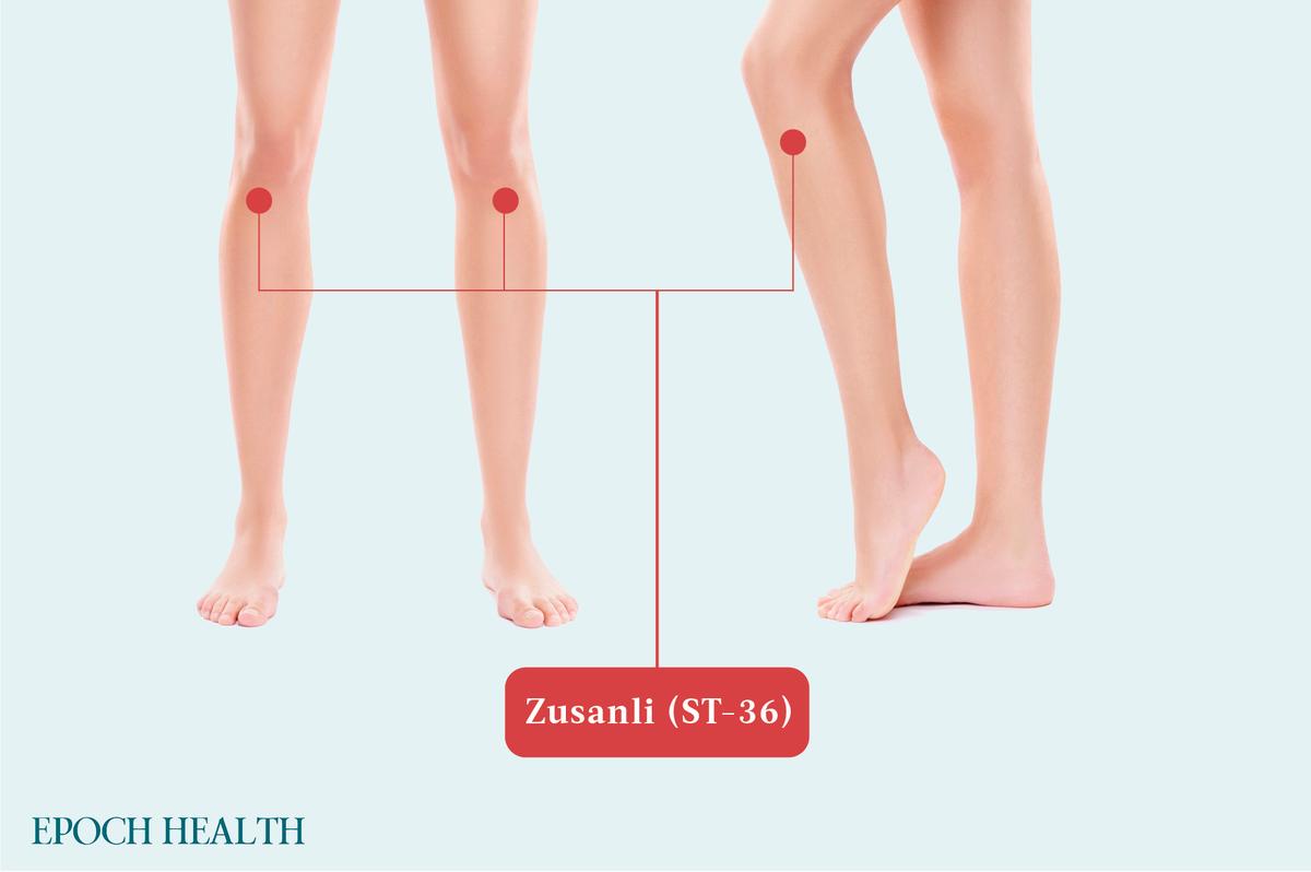 Zusanli acupoint. (The Epoch Times)