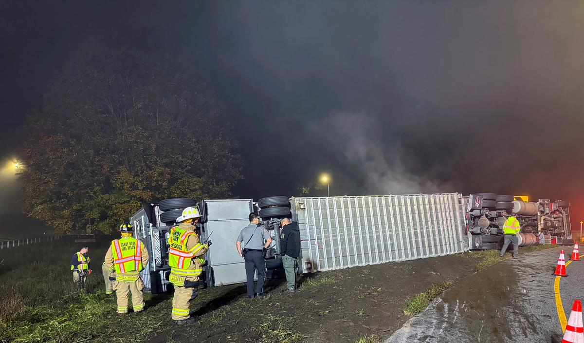 14 Cows Killed, Others Survive Truck Rollover Crash in Connecticut