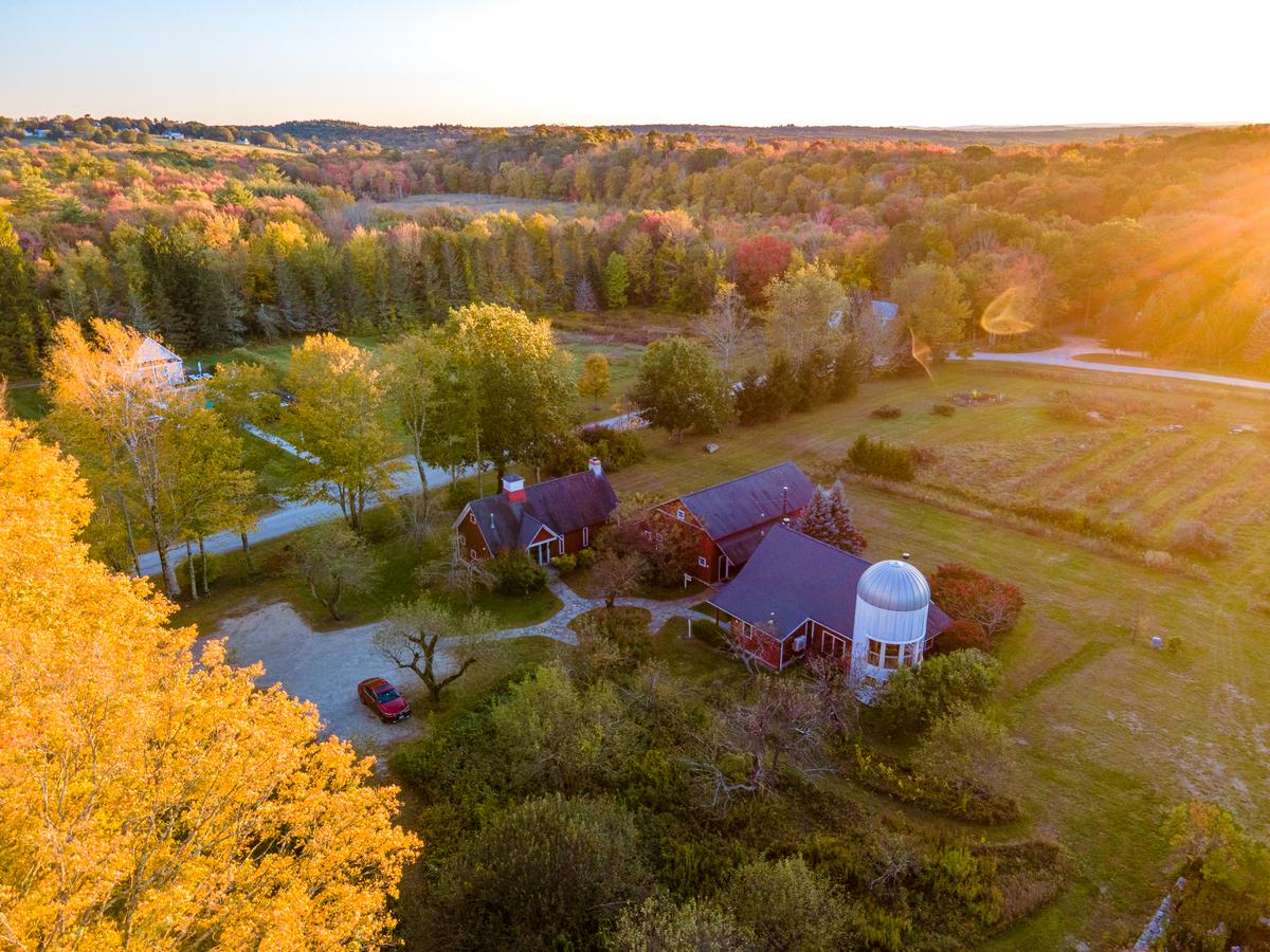 Connecticut’s Winvian Farm Offers a Luxury Treehouse, a Helicopter Lounge, and Seed-to-Fork Dining