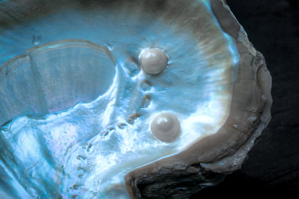 From Ancient Remedy to Modern Science: The Powerful Health Benefits of Pearl Powder