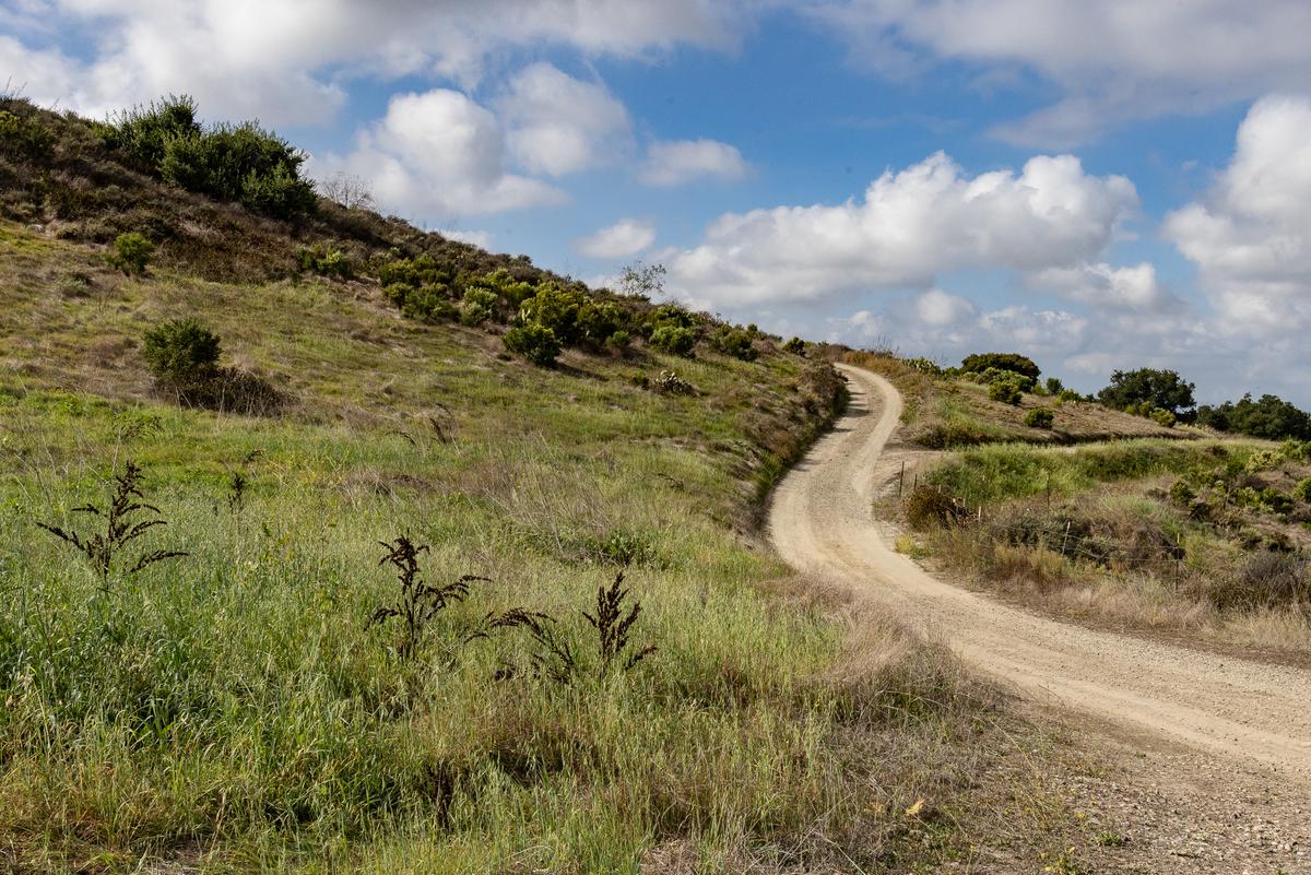 Woman Stabbed on California Hiking Trail; Suspect Apprehended