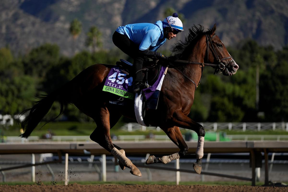 Racehorse Deaths This Year Has Breeders’ Cup Under Intense Scrutiny