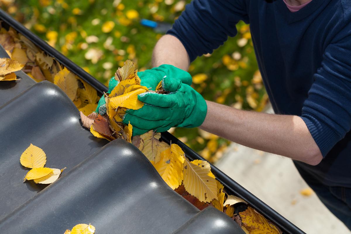 Ask Angi: How Can I Make a Clean Sweep This Holiday Season?