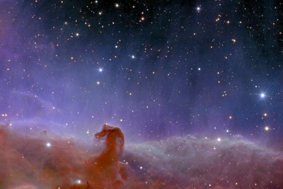 The Aliens Are The Answer? Think Again