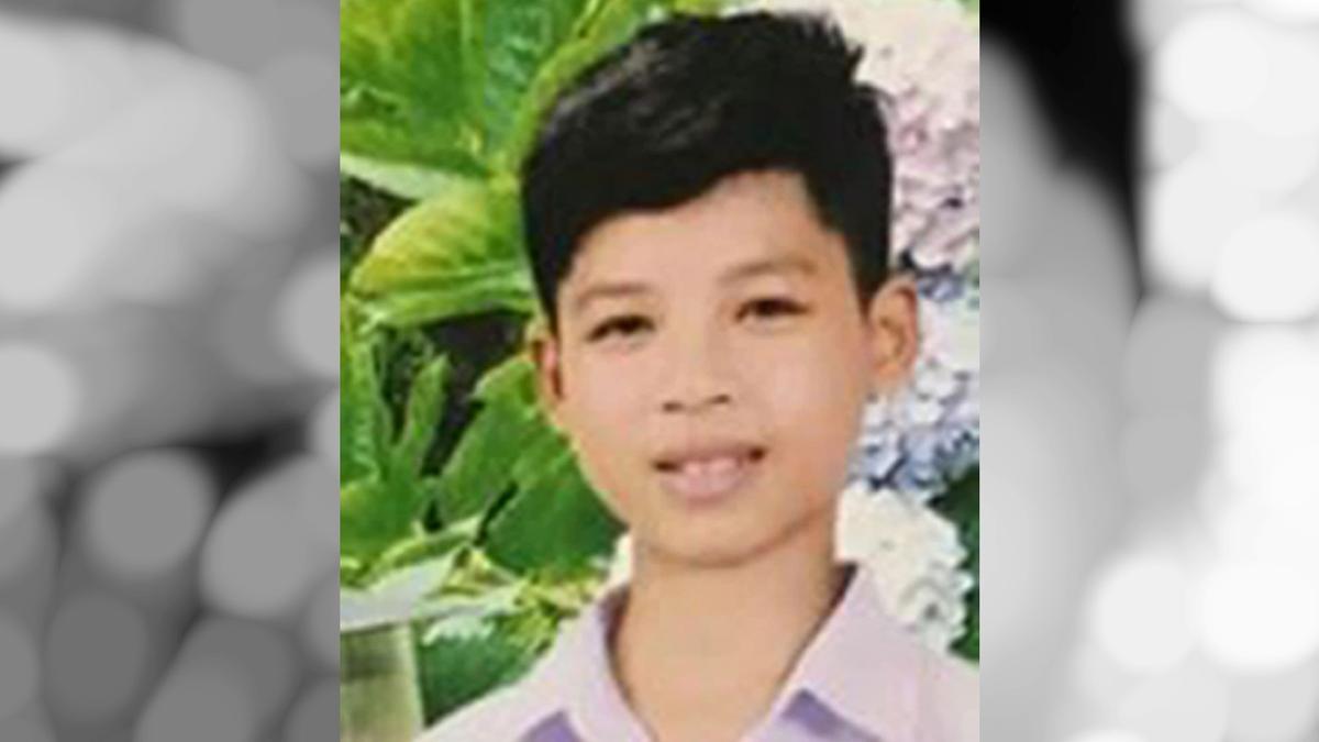 Vietnamese and Albanian Children Disappearing in UK After Being Smuggled, MPs Told