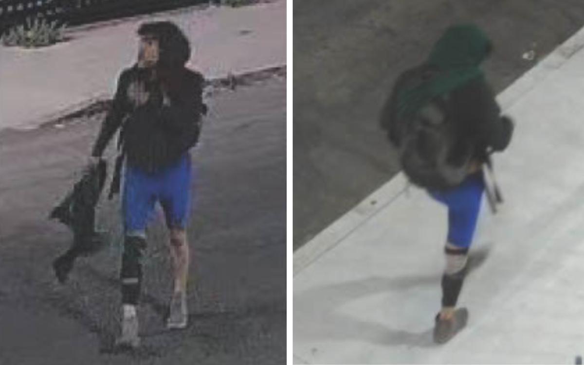 Authorities Search for Person of Interest in Los Angeles Freeway Fire