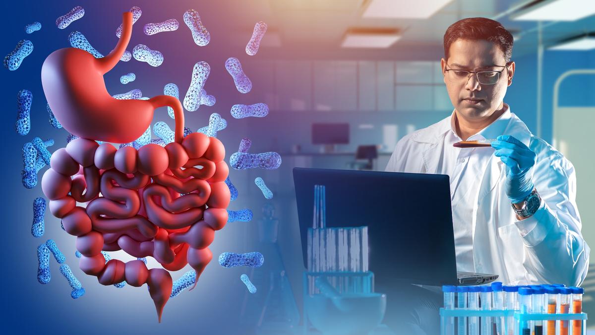 Bacteria Combo Alleviates Long COVID Symptoms: Study