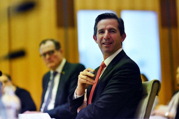 Senator Simon Birmingham during the Economics Legislation Committee Budget Estimates 2021–22 at Parliament House on June 2, 2021 in Canberra, Australia. (Sam Mooy/Getty Images)